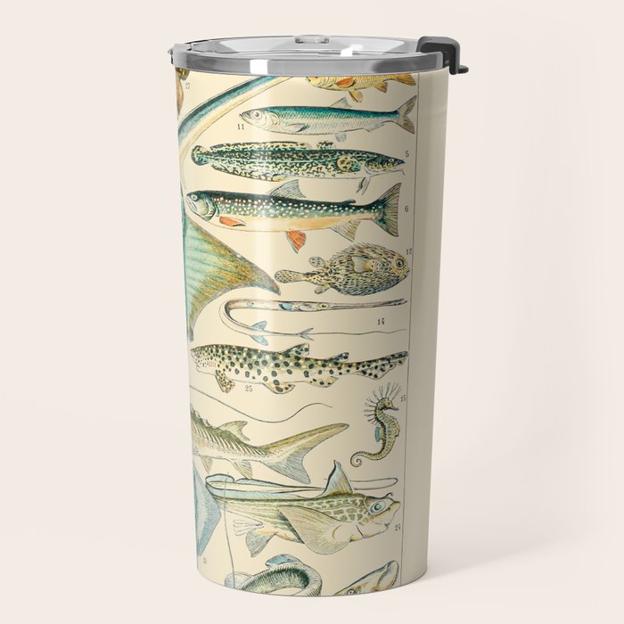 Vintage Fishing Diagram // Poissons II by Adolphe Millot 19th Century Science Textbook Artwork Travel Mug Gallery Image 2