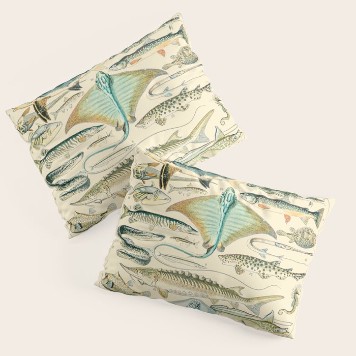 Vintage Fishing Diagram // Poissons II by Adolphe Millot 19th Century Science Textbook Artwork Pillow Sham Gallery Image 3