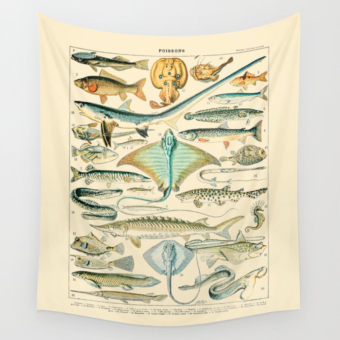 Vintage Fishing Diagram // Poissons II by Adolphe Millot 19th Century Science Textbook Artwork Wall Tapestry Gallery Image 4