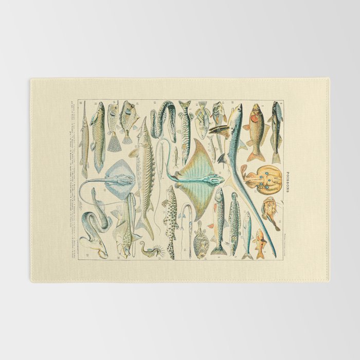 Vintage Fishing Diagram // Poissons II by Adolphe Millot 19th Century Science Textbook Artwork Rug Gallery Image 2