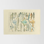Vintage Fishing Diagram // Poissons II by Adolphe Millot 19th Century Science Textbook Artwork Rug Gallery Image 2