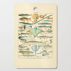Vintage Fishing Diagram // Poissons II by Adolphe Millot 19th Century Science Textbook Artwork Cutting Board Gallery Image 1