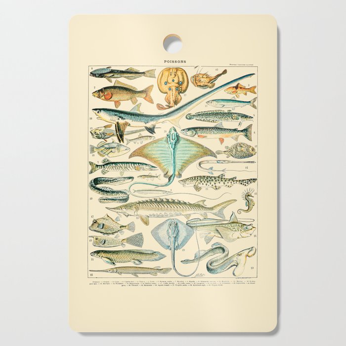Vintage Fishing Diagram // Poissons II by Adolphe Millot 19th Century Science Textbook Artwork Cutting Board Gallery Image 1