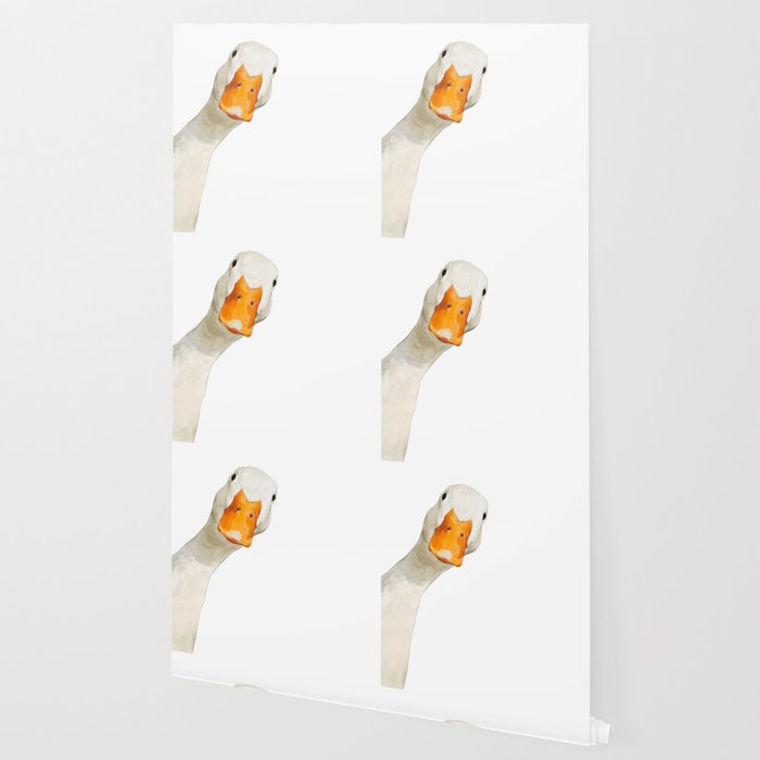 Sneaky White Duck Wallpaper Gallery Image 2