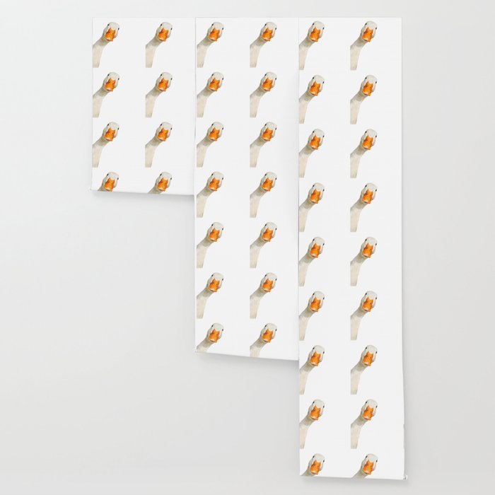 Sneaky White Duck Wallpaper Gallery Image 3