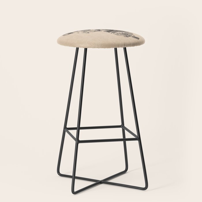 MARCUS AURELIUS ANTONINUS AUGUSTUS / Pencil Stool Gallery Image 1