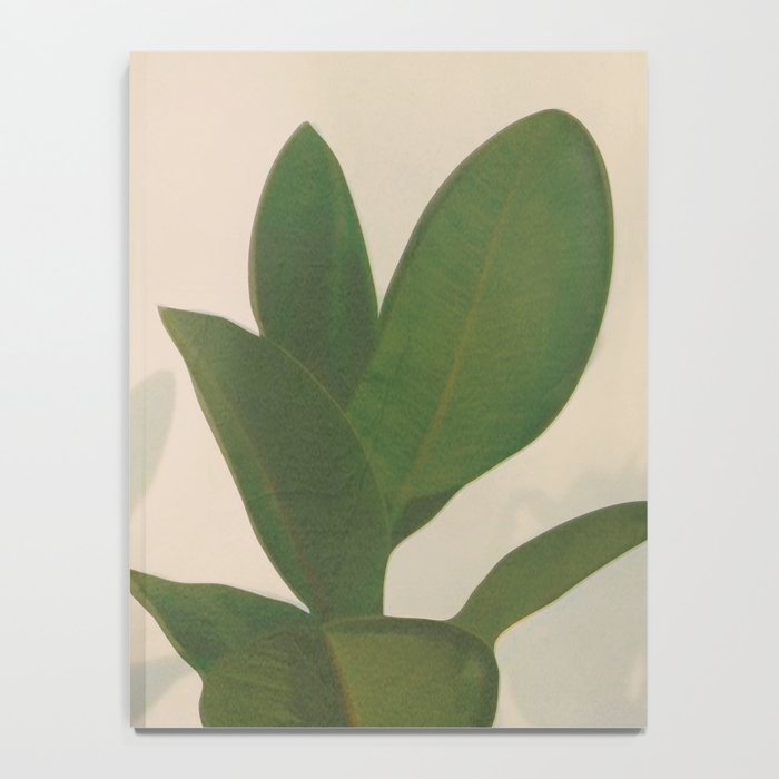 Little Pot Plant Notebook Gallery Image 4