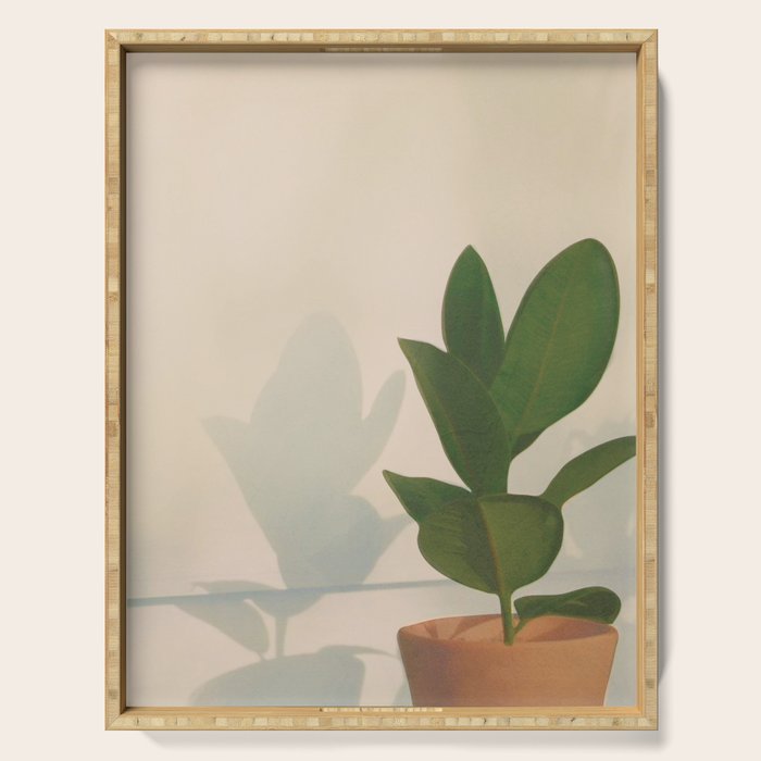 Little Pot Plant Serving Tray Gallery Image 1