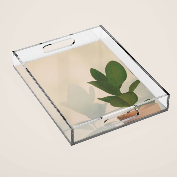 Little Pot Plant Acrylic Tray Gallery Image 1