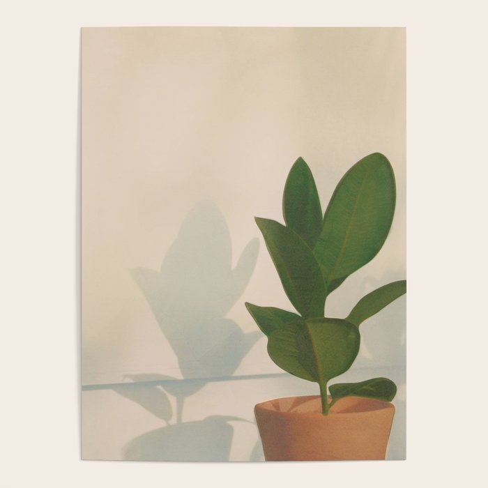 Little Pot Plant Poster Gallery Image 1
