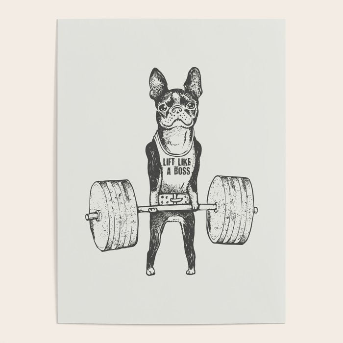 Boston Terrier Lift Poster Gallery Image 1