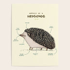 Anatomy of a Hedgehog Poster Gallery Image 4