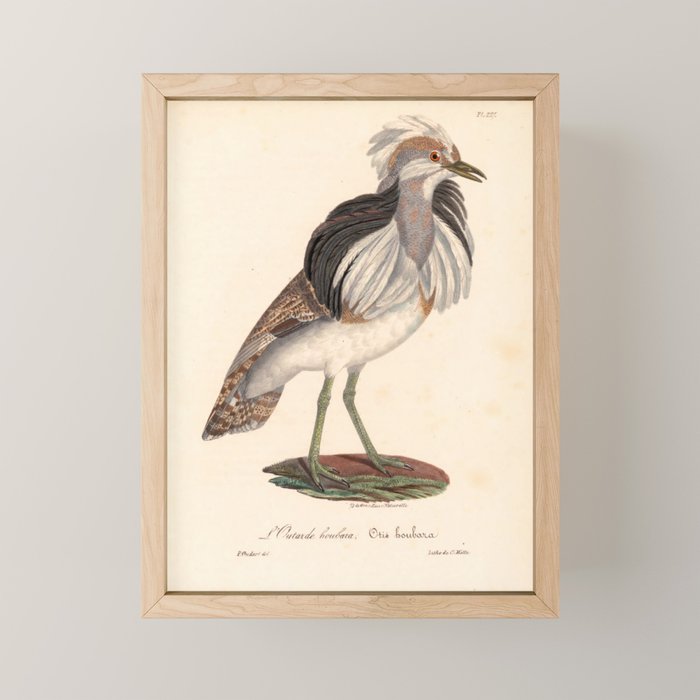 Ornithological illustration from "La Galerie de Oiseaux" ("Bird Gallery"), 1825 Mini Art Print Gallery Image 1