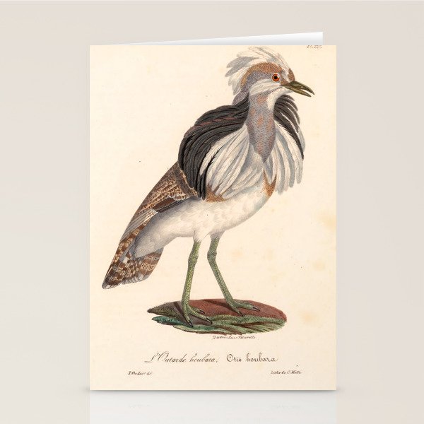 Ornithological illustration from "La Galerie de Oiseaux" ("Bird Gallery"), 1825 Stationery Card Gallery Image 2
