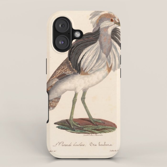 Ornithological illustration from "La Galerie de Oiseaux" ("Bird Gallery"), 1825 iPhone Case Gallery Image 1