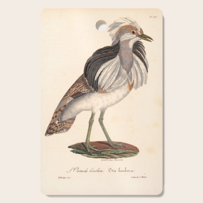 Ornithological illustration from "La Galerie de Oiseaux" ("Bird Gallery"), 1825 Cutting Board Gallery Image 1