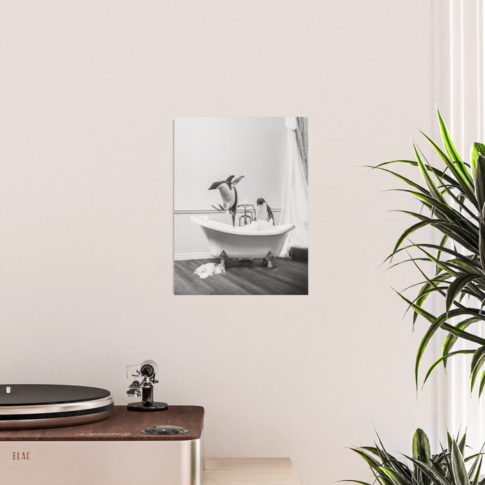 Penguin Taking a Bath Poster Gallery Image 2