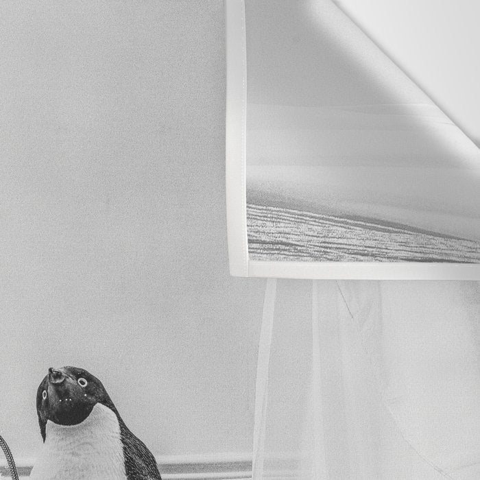 Penguin Taking a Bath Wall Tapestry Gallery Image 3