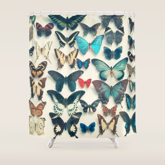 Wings Shower Curtain Gallery Image 1