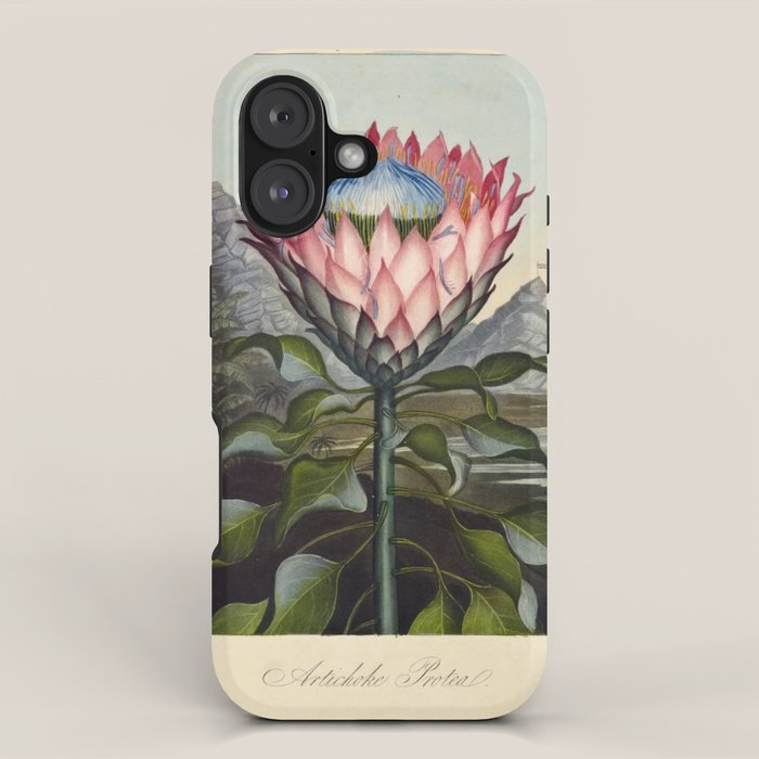 Artichoke Protea from "The Temple of Flora," 1812 (benefitting The Nature Conservancy) iPhone Case Gallery Image 1