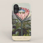 Artichoke Protea from "The Temple of Flora," 1812 (benefitting The Nature Conservancy) iPhone Case Gallery Image 1