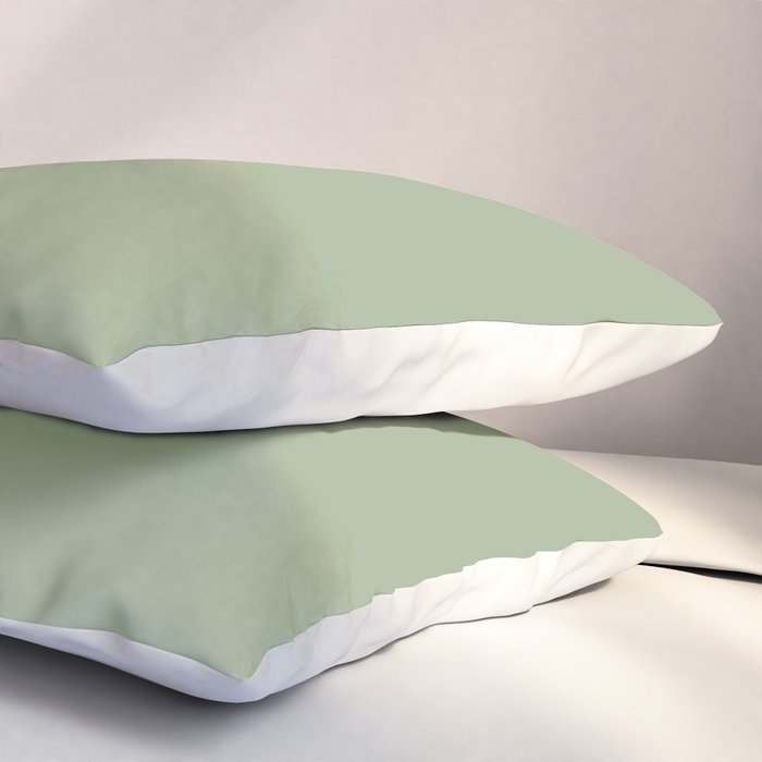 Minimal, Solid Color, Light Sage Green  Pillow Sham Gallery Image 3
