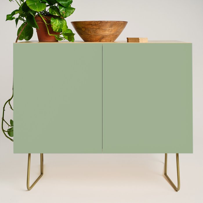 Minimal, Solid Color, Light Sage Green  Credenza Gallery Image 1