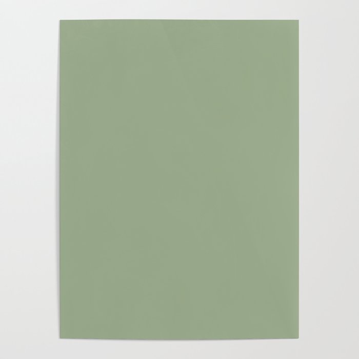Minimal, Solid Color, Light Sage Green  Poster Gallery Image 1
