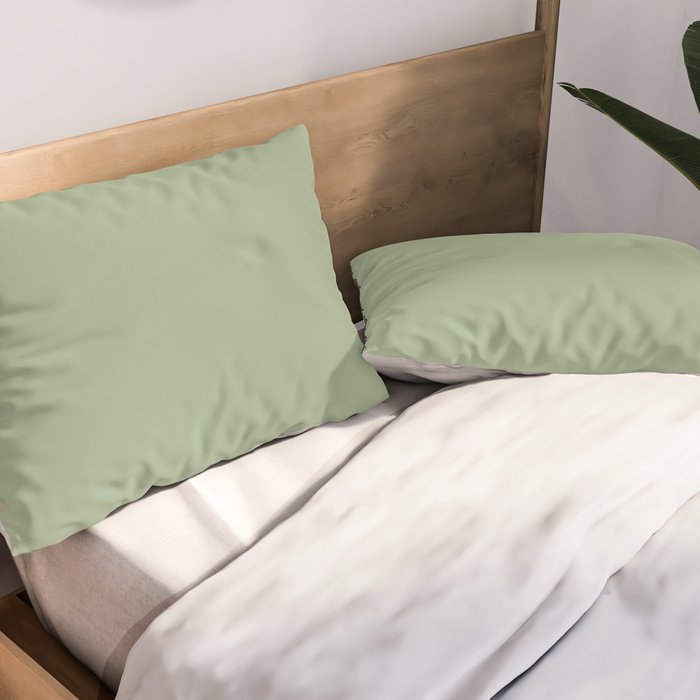 Minimal, Solid Color, Light Sage Green  Pillow Sham Gallery Image 2