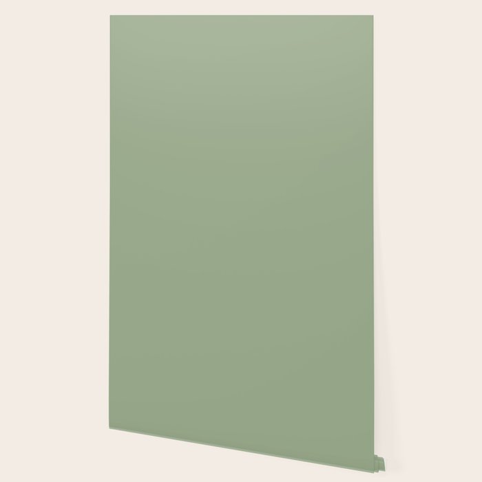 Minimal, Solid Color, Light Sage Green  Wallpaper Gallery Image 2