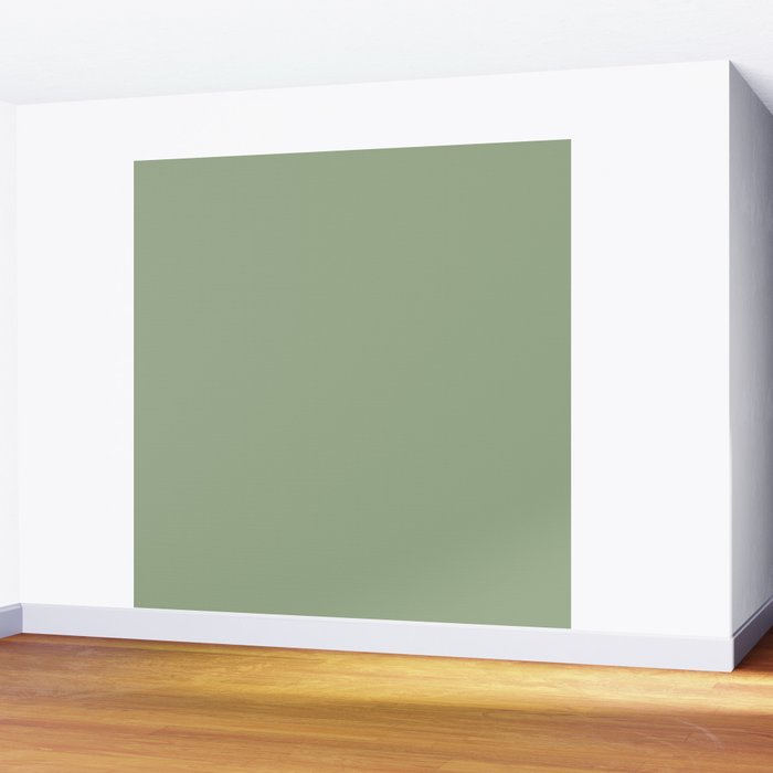 Minimal, Solid Color, Light Sage Green  Wall Mural Gallery Image 2