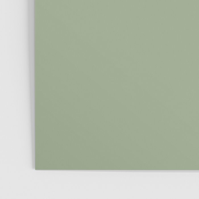 Minimal, Solid Color, Light Sage Green  Poster Gallery Image 3