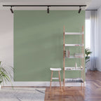 Minimal, Solid Color, Light Sage Green  Wall Mural Gallery Image 1