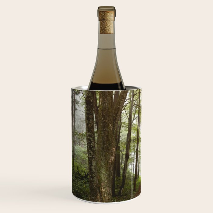 Great Smoky Mountains National Park - Road Trip Adventure II Wine Chiller Gallery Image 2