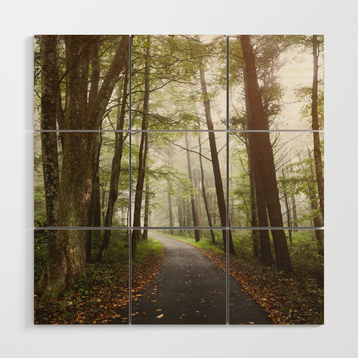 Great Smoky Mountains National Park - Road Trip Adventure II Wood Wall Art Gallery Image 1