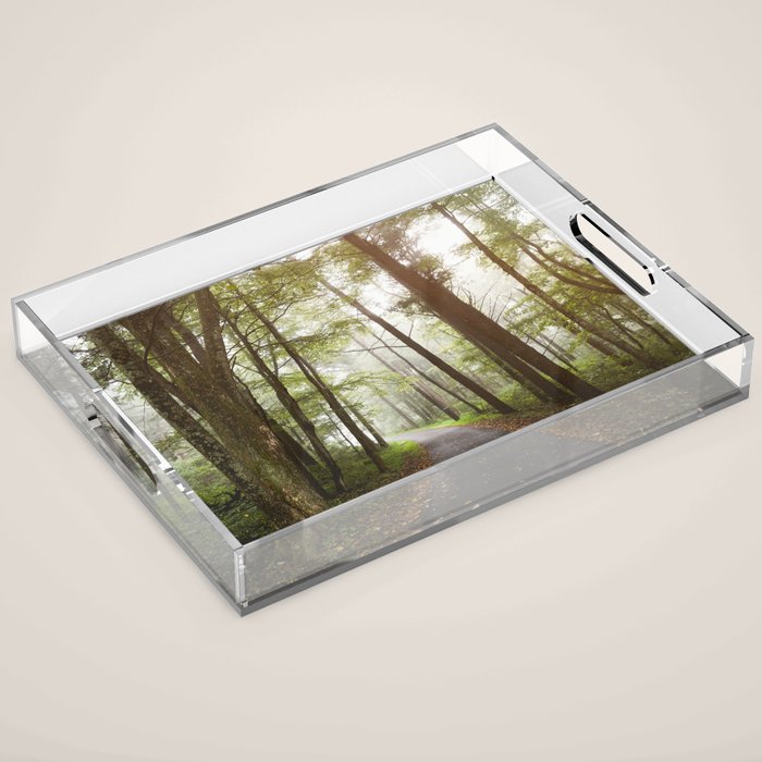 Great Smoky Mountains National Park - Road Trip Adventure II Acrylic Tray Gallery Image 1
