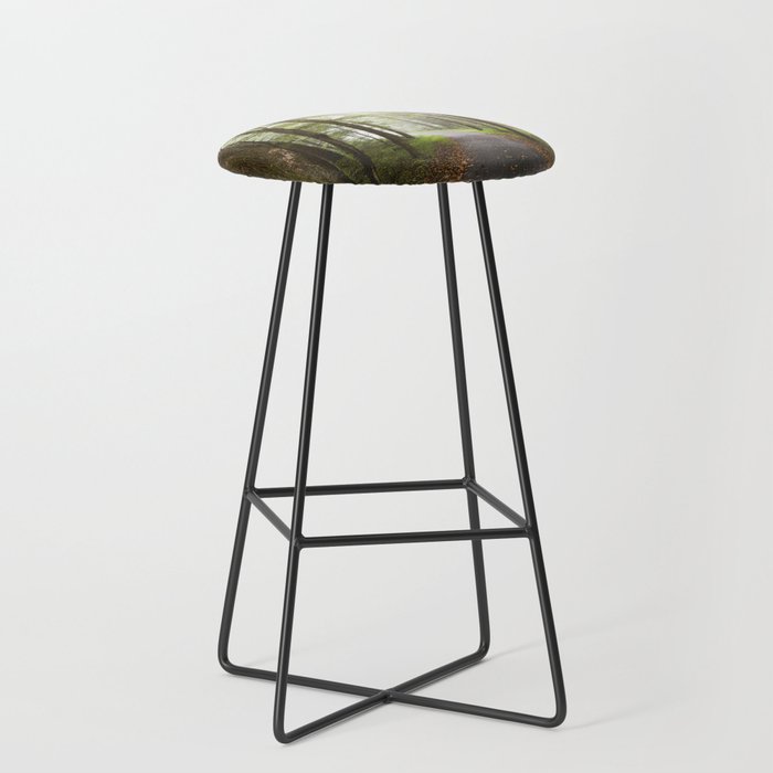 Great Smoky Mountains National Park - Road Trip Adventure II Stool Gallery Image 1