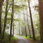 Great Smoky Mountains National Park - Road Trip Adventure II Coffee Mug Gallery Image 2