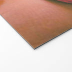 Oops Welcome Mat Gallery Image 2