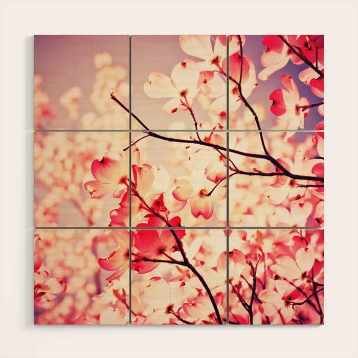 Dialogue With the Sky Wood Wall Art Gallery Image 1