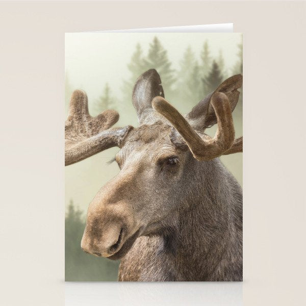 Moose Stationery Card Gallery Image 1