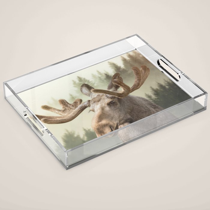Moose Acrylic Tray Gallery Image 1
