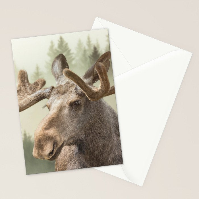 Moose Stationery Card Gallery Image 2