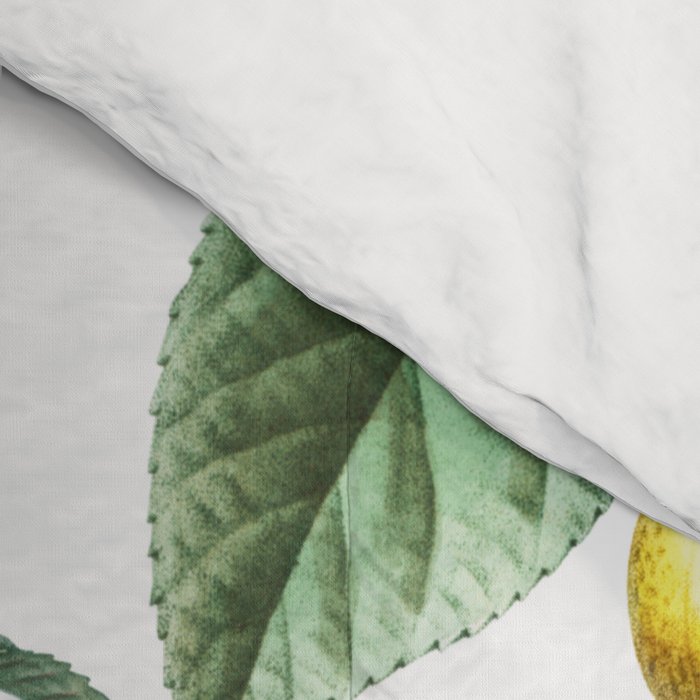 Persimmon Botanical Bloom Comforter Gallery Image 4