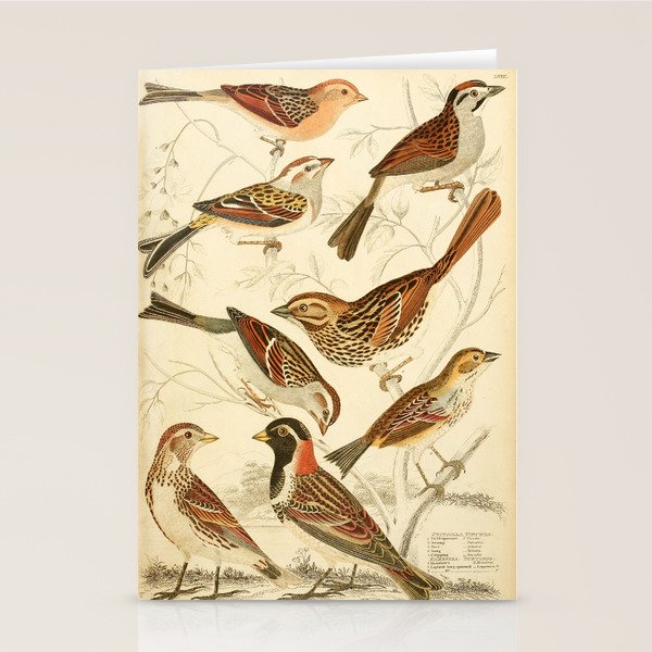 Finches from The Edinburgh Journal, 1835 (benefitting The Nature Conservancy) Stationery Card Gallery Image 2
