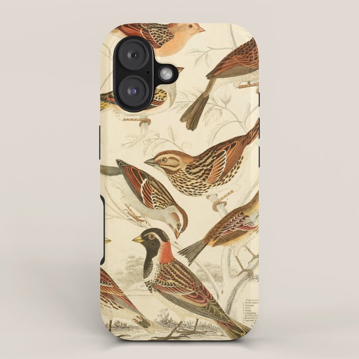 Finches from The Edinburgh Journal, 1835 (benefitting The Nature Conservancy) iPhone Case Gallery Image 1