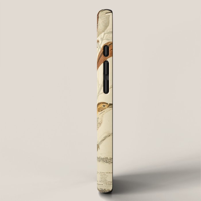 Finches from The Edinburgh Journal, 1835 (benefitting The Nature Conservancy) iPhone Case Gallery Image 2