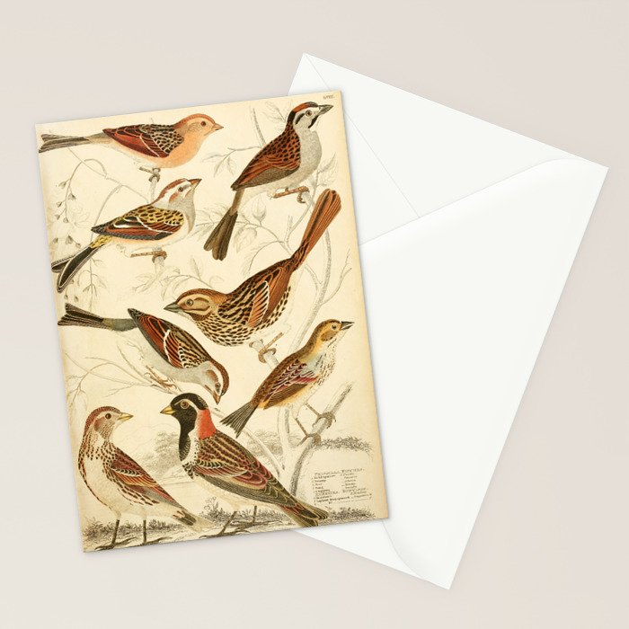Finches from The Edinburgh Journal, 1835 (benefitting The Nature Conservancy) Stationery Card Gallery Image 2