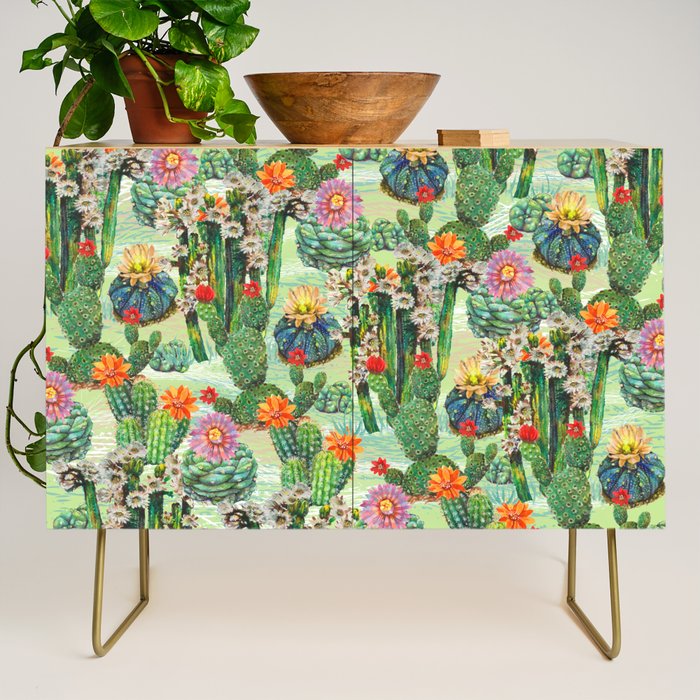 Cactus Desert - GBG Credenza Gallery Image 1