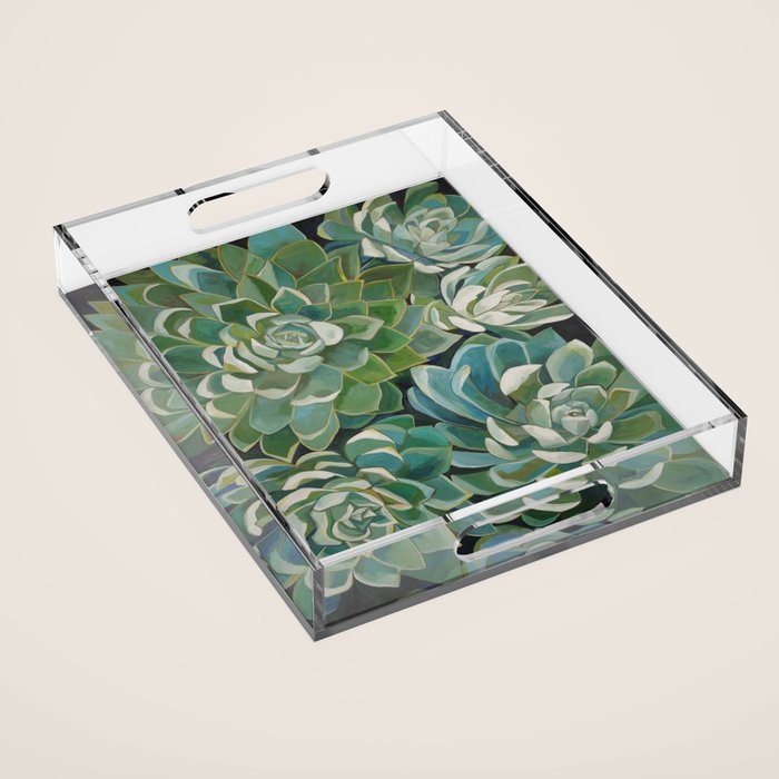 Restoring Acrylic Tray Gallery Image 1